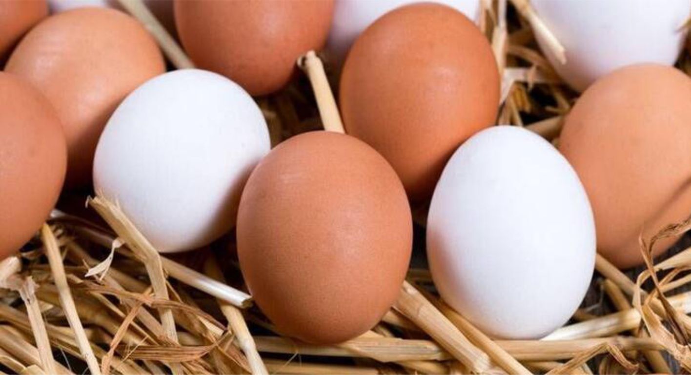 Yumurta kaç kalori