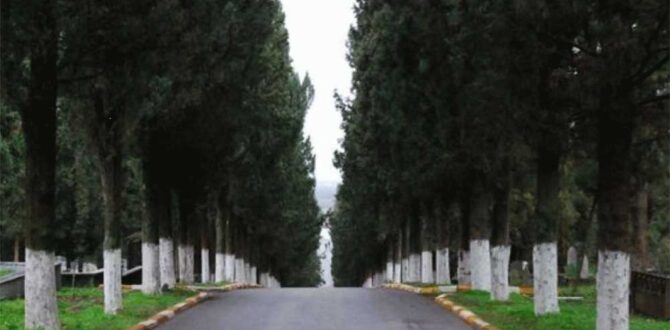 Belirtiler 3 ay öncesinden