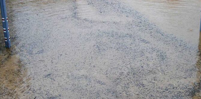 Sel felaketinin akabinde can kayıpları var