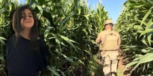 Diyarbakır’da Kayıp Olmuştu Narin