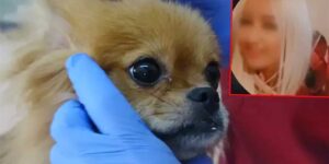 Erkek arkadaşı eve kamera takınca gerçekler ortaya çıktı