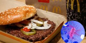 Burger zincirinde hastalık