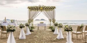 Neredeyse Bir Milyona Yaklaşan O Devasa Rakam.