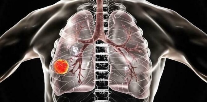 Uzmanlar Tek Ses Oldu: Tehlike Büyüyor! Son Yılların En Yüksek Seviyelerine Ulaşan Vakalar İçin Kritik Yol Haritası Açıklandı.