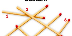 en büyük kibrit çöpü