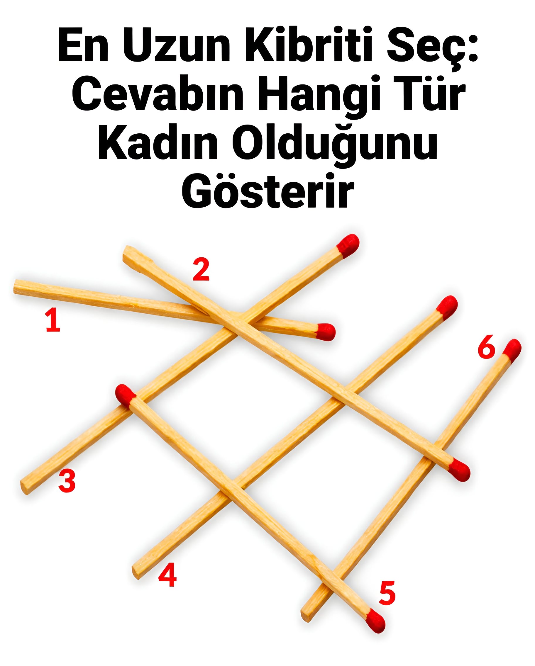 en büyük kibrit çöpü