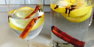 Karanfil ve Limon Aromalı Kolajen İçeceği